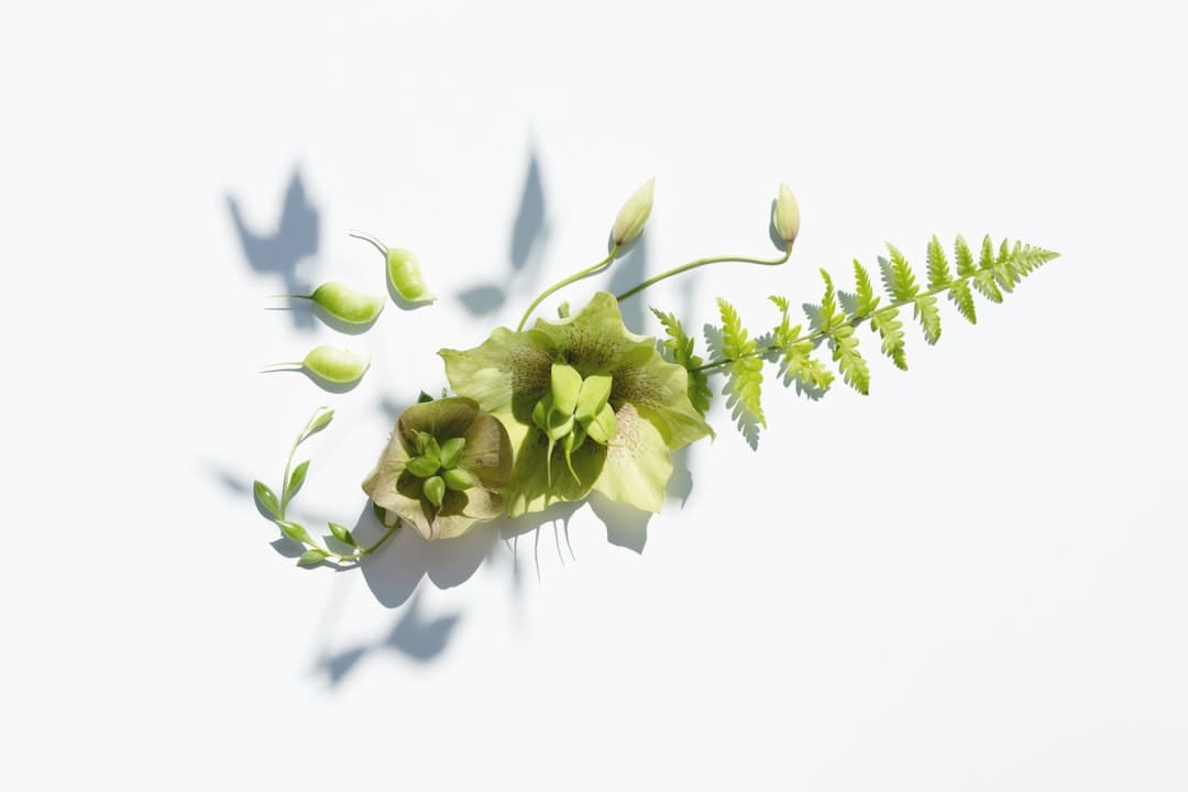 泉港举行芗剧中青年艺人提高班